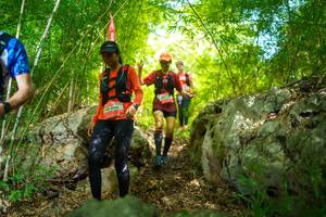 BIB: 2196
                            <button type="button" onclick="openModal(22088597)" class="btn btn-primary btn-sm float-right btn-popup" data-toggle="modal" data-target=".modal-high-quality">
                        <i class="fas fa-shopping-cart"></i> Add to Cart
                    </button>
                                            <button type="button" onclick="isThisMe(22088597, true)" class="btn btn-success btn-sm float-right btn-popup btn-isme hidden" data-toggle="tooltip" data-placement="bottom" title="นี่คือรูปของคุณใช่ไหม คลิกที่นี่เพื่อเอาเข้าอัลบั้ม">
                        <i class="fas fa-plus"></i> Add to album
                    </button>
                    <button type="button" onclick="isThisMe(22088597, false)" class="btn btn-warning btn-sm float-right btn-popup btn-isnotme hidden">
                        <i class="fas fa-ban"></i> Remove from album
                    </button>